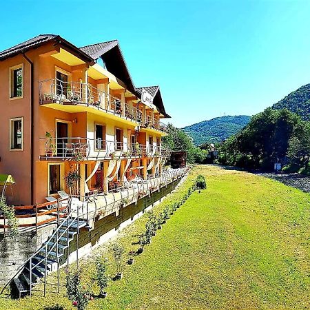 Pension Camelia Băile Herculane Exterior foto